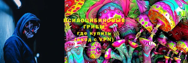 стафф Верея