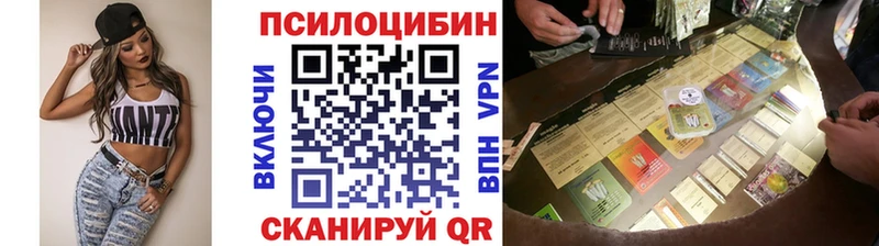 Купить  Магадан  Псилоцибиновые грибы мицелий 