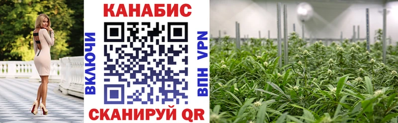Бошки марихуана THC 21%  Купить  Магадан 